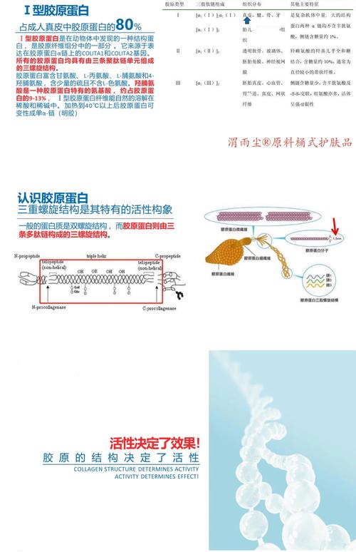 驅(qū)動蛋白質(zhì)多肽鏈折疊盤曲的主要動力，驅(qū)動蛋白作用
